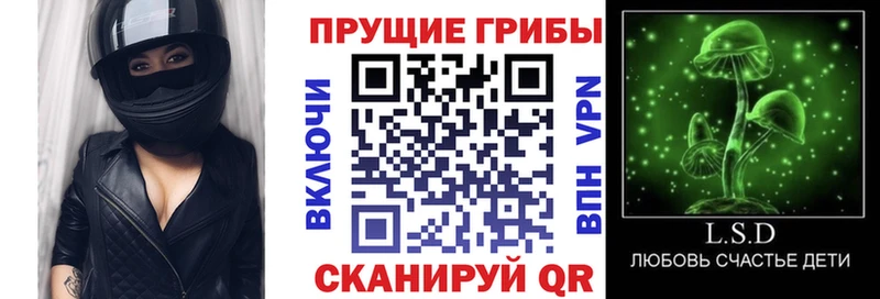Галлюциногенные грибы прущие грибы Кемь